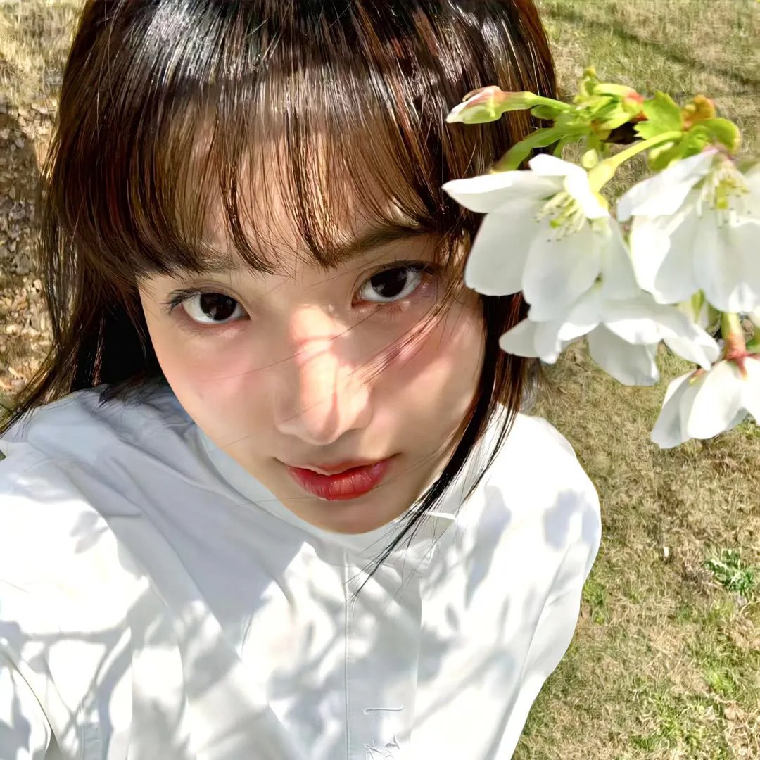 我当歌手的日子 在线观看